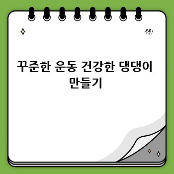 꾸준한 운동 건강한 댕댕이 만들기