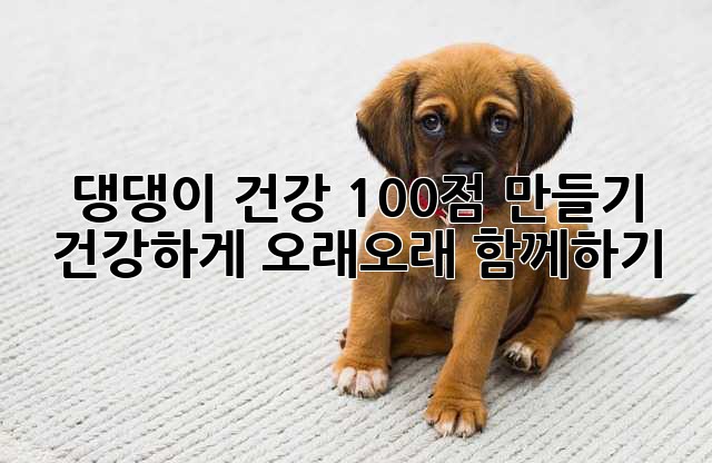 댕댕이 건강 100점 만들기: 건강하게 오래오래 함께하기🐶