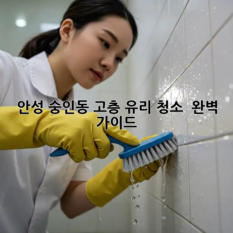안성 숭인동 고층 유리 청소 ✨ 완벽 가이드