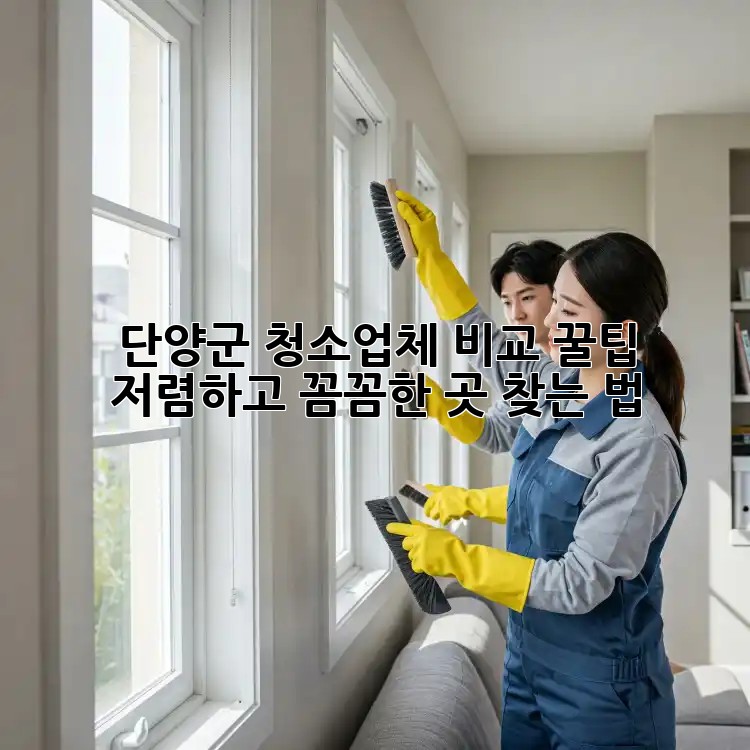 단양군 청소업체 비교 꿀팁🍯: 저렴하고 꼼꼼한 곳 찾는 법