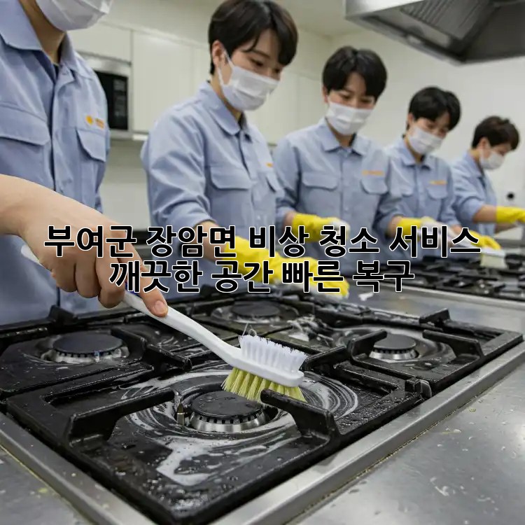 부여군 장암면 비상 청소 서비스: 깨끗한 공간, 빠른 복구!