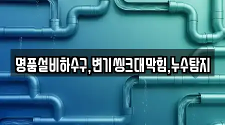명품설비하수구,변기씽크대막힘,누수탐지