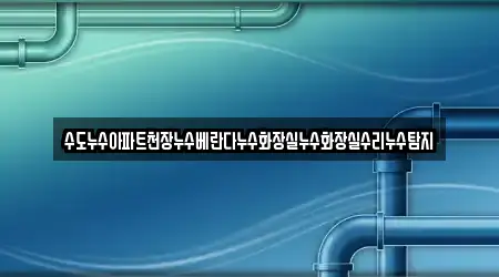 수도누수아파트천장누수베란다누수화장실누수화장실수리누수탐지